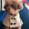 Mode Britischer Stil Hundemantel Windjacke Corgi Französische Bulldogge Haustier Hund Lätzchen Haustierkleidung Umhang Haustier Kostüm Trenchcoat Für Kleinen Hund