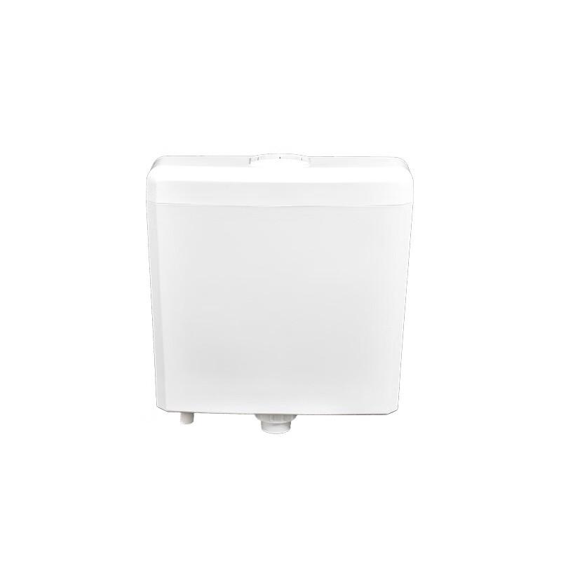 Wall-Mounted Dual Flush Toilet Cistern