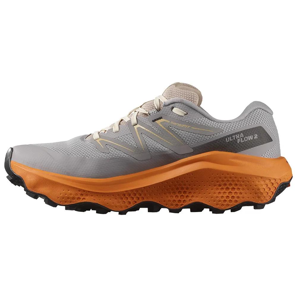 SALOMON Trail Running Shoes Ultra Flow 2 Goretex