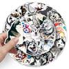 50 Alaska Graffiti Sticker Personalisierte Cartoon Niedlicher Hund Dekoration Handy Wasserbecher Guka Sticker