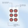 30Pcs Abdominal Support Patches Wider Patch Lightweight Flexible Coverage Body Skin-friendly Adhesive Patch with Botanical Ingredients