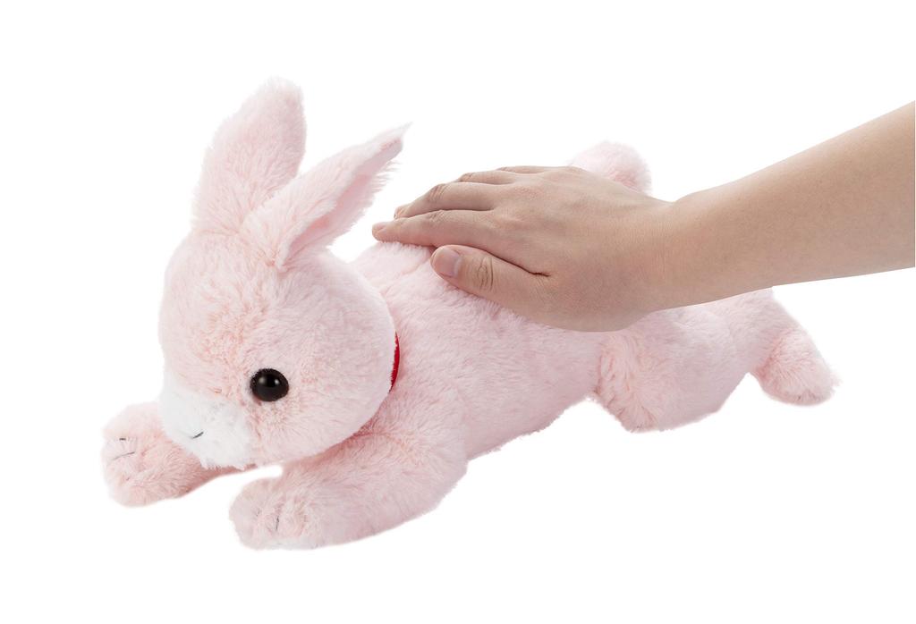 Dream Pet Giving Birth Giving Birth to a Series Rabbit!