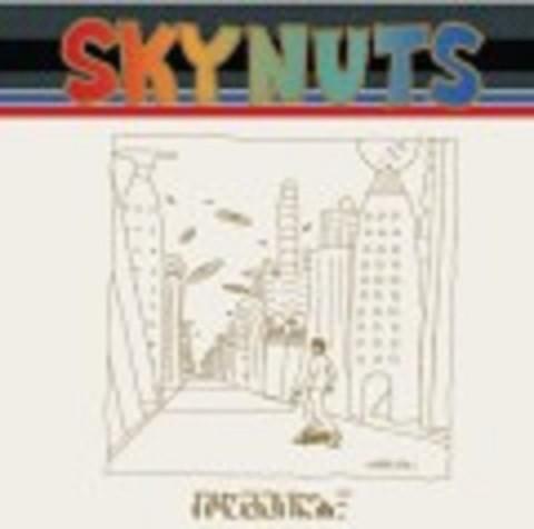 

CD KASEKI CIDER - Skynuts TFCC88125 TOY S FACTORY 1998 Japan Japanese Pop/Rock Used