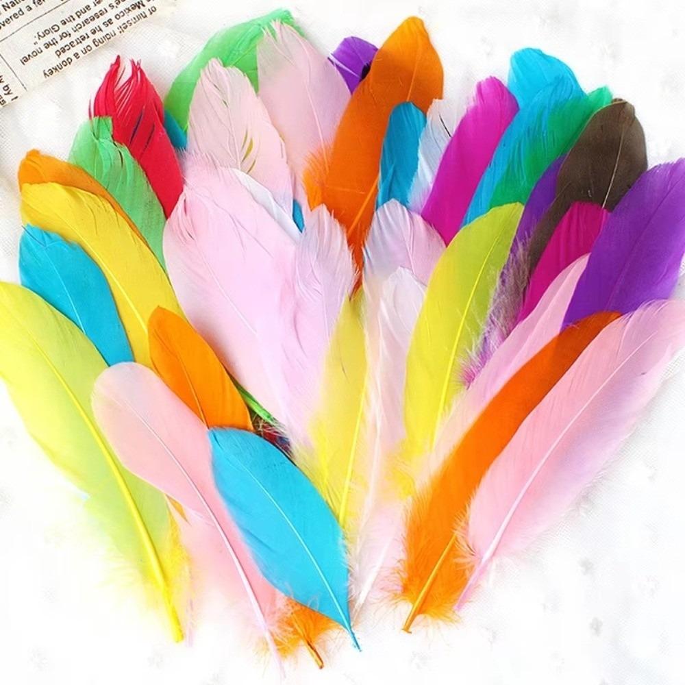 50PCS Colorful Natural Goose Feathers Natural Feather Colored Feathers  DIY Home Crafts