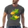 Fresh Water Fish And Plants Gourami Tshirt Unisexs Graphic T Shirts T Shirts Cotton 100 Essential T Shirt Tshirt