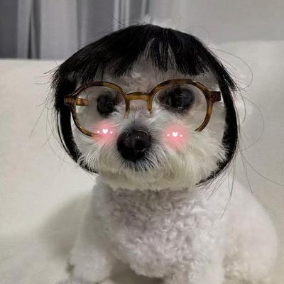 Cat Wig Accessories Dog Headdress Funny Costume Puppy Cosplay Dress Up Cute Pet Wig Cosplay Funny Props Head Accessories