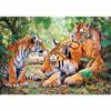 5D DIY алмазная живопись с животными, стразами, тигром, художественная картина, полная Алмазная вышивка, мозаика, набор для вышивки крестом, домашний декор, подарок