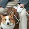 Puppy Love Lite Dog Leash
