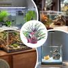 Seeanemonen-Dekorationen für Aquarium Seeanemonen-Ornamente Silikon für Aquarium Künstliche Aquariumdekorationen für Süßwasser