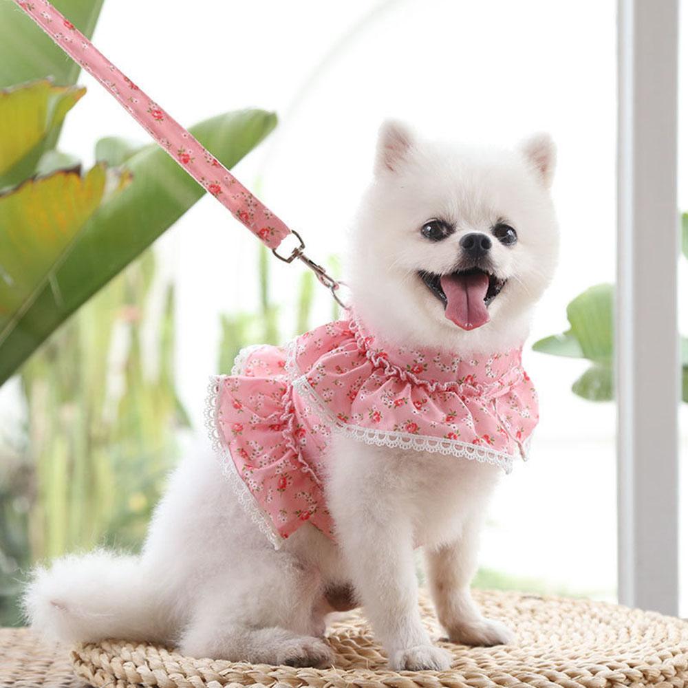 Set Ham și Lesă pentru Cățel Roz Dantelă Florală Ham Tip Vestă pentru Câine Mic Drăguț Plasă Moale Anti-Evadare Ham Tip Vestă pentru Animal de Companie Câine Pisică