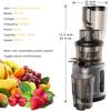 BioloMix HH‑916I Slow Cold Press Juicer Wide Mouth Masticating Juicer