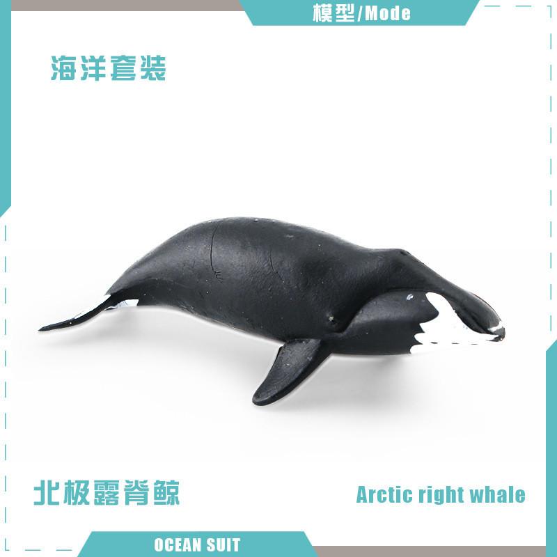 Zestaw modeli zwierząt oceanicznych premium z PVC, w tym rekiny, żółwie, delfiny, pingwiny i kraby do zabawy edukacyjnej