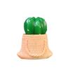 No Maintenance Plant Mini Artificial Cactus Plants Pots Miniature Potted Green Figurines Diy Fairy Garden Accessories Bonsai