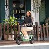 iScooter I12 12-inch Electric Scooter - 35km Range, 500W Motor, Dual Suspension System, Foldable + Seat, Convenient for commuting,Green