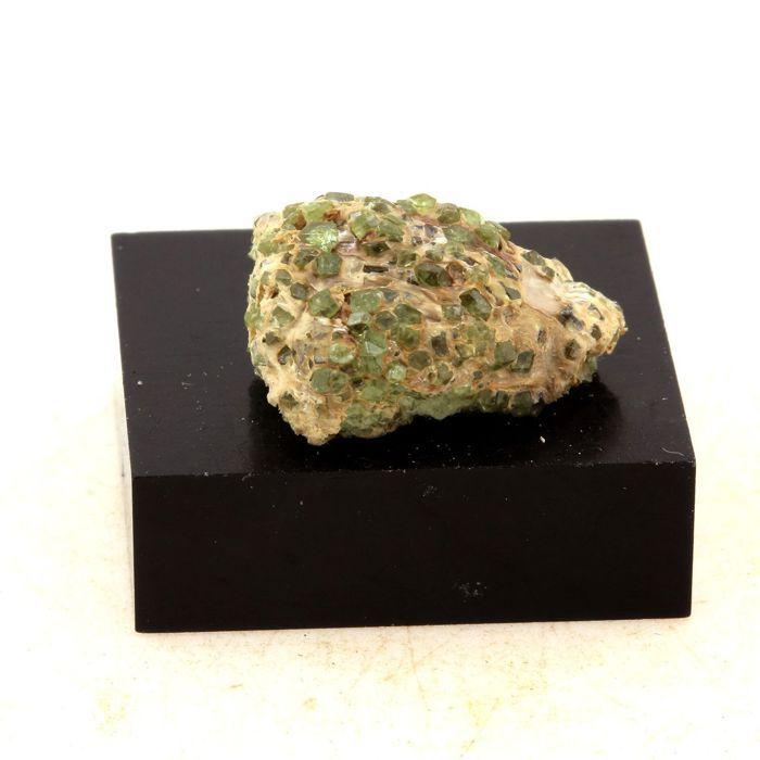 Pierres et Minéraux. Grenat démantoïde. 29.0 ct. Malenco Valley, Lombardy, Italie.