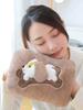 Rechargeable Hot Water Bag Removable and Washable Explosion-Proof Heating Pad for Girls Warm Belly Hand Warmer Plush Cute Cartoon Electric Heater