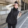 Down Cotton Clothes, Vest, Women's Stand-up Collar Cotton Vest, Autumn and Winter New Versatile Vest, Warm Large-size Vest