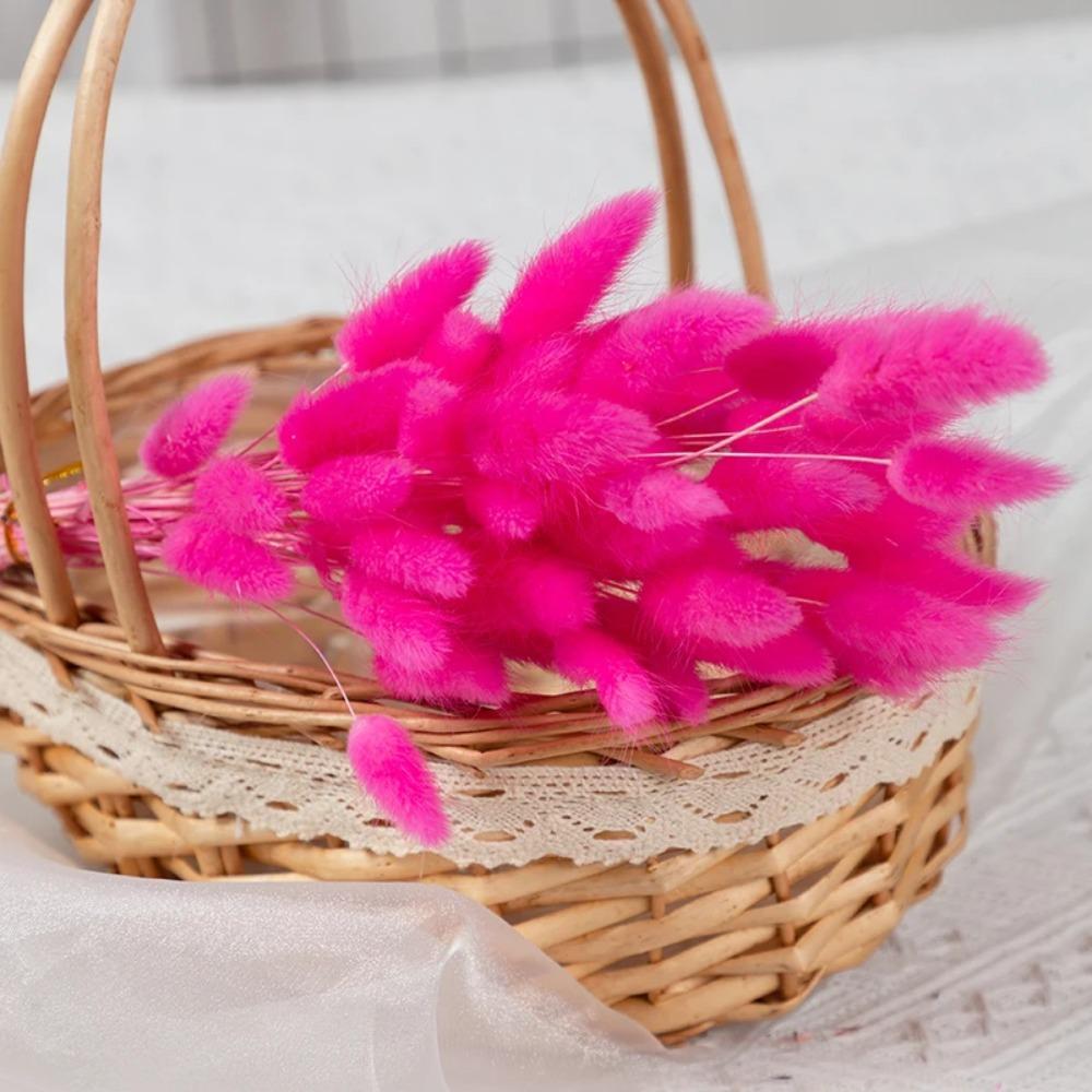 50Pcs Fluffy Bunny Rabbit Tail Grass Dried Flowers Bouquet Wedding Christmas Decor Natural Pampas Boho Home Autumn Decoration