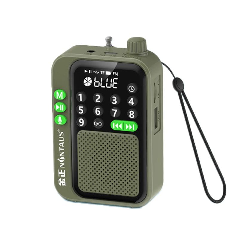 5W Portable FM Radio Wireless Bluetooth Speaker TF Card U Disk Music MP3 Player