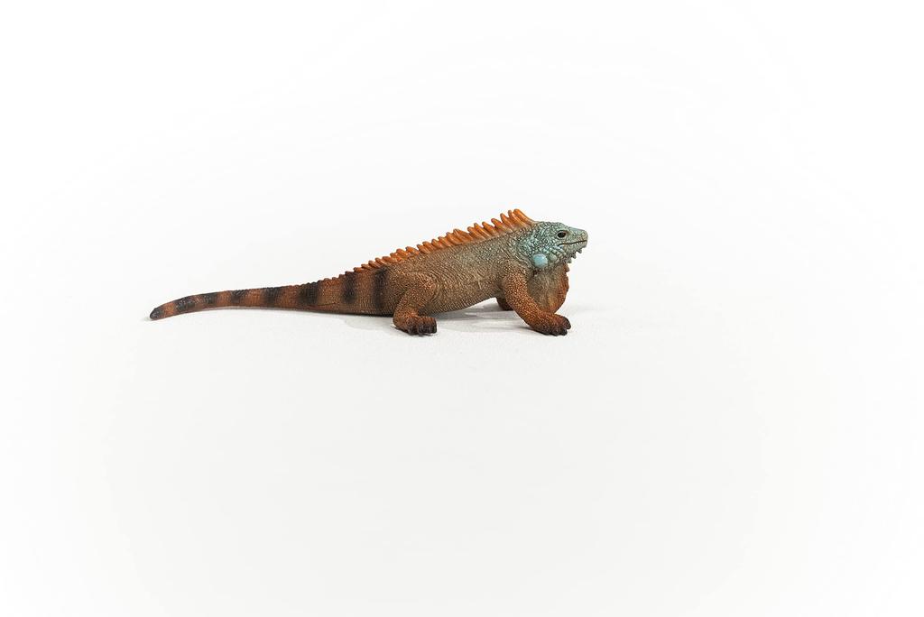 Schleich Wildlife Iguana 14854