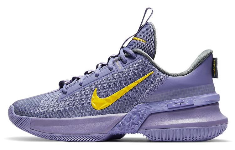 

Nike Ambassador 13 Lakers CQ9329-500 42