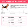 Reflective Dog Collar Free Personalized Dog Necklace Adjustable Engraving Pet Name Collars for Small Medium Large Dogs Pitbulls