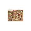 Sylvanian Families EPOCH Walnut Squirrel Family Boy Doll 3+ Years Toy for Dollhouse