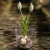 Flowerpot PET Highly Transparent Self-Watering Planter with Glacier Pattern Double-Layer Design Breathable Inner