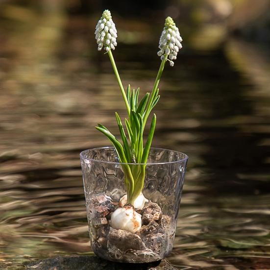 Flowerpot PET Highly Transparent Self-Watering Planter with Glacier Pattern Double-Layer Design Breathable Inner