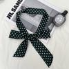 Retro fashionable polka dot long silk scarf women's spring and autumn y2k hot girl fashion versatile decorative scarf thin streamer