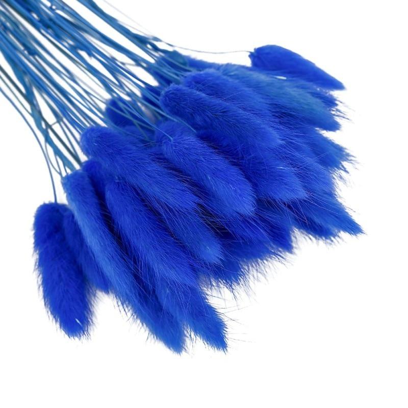 50pcs Dried Rabbit Tail Grass Flowers Artificial Plant Wedding Party