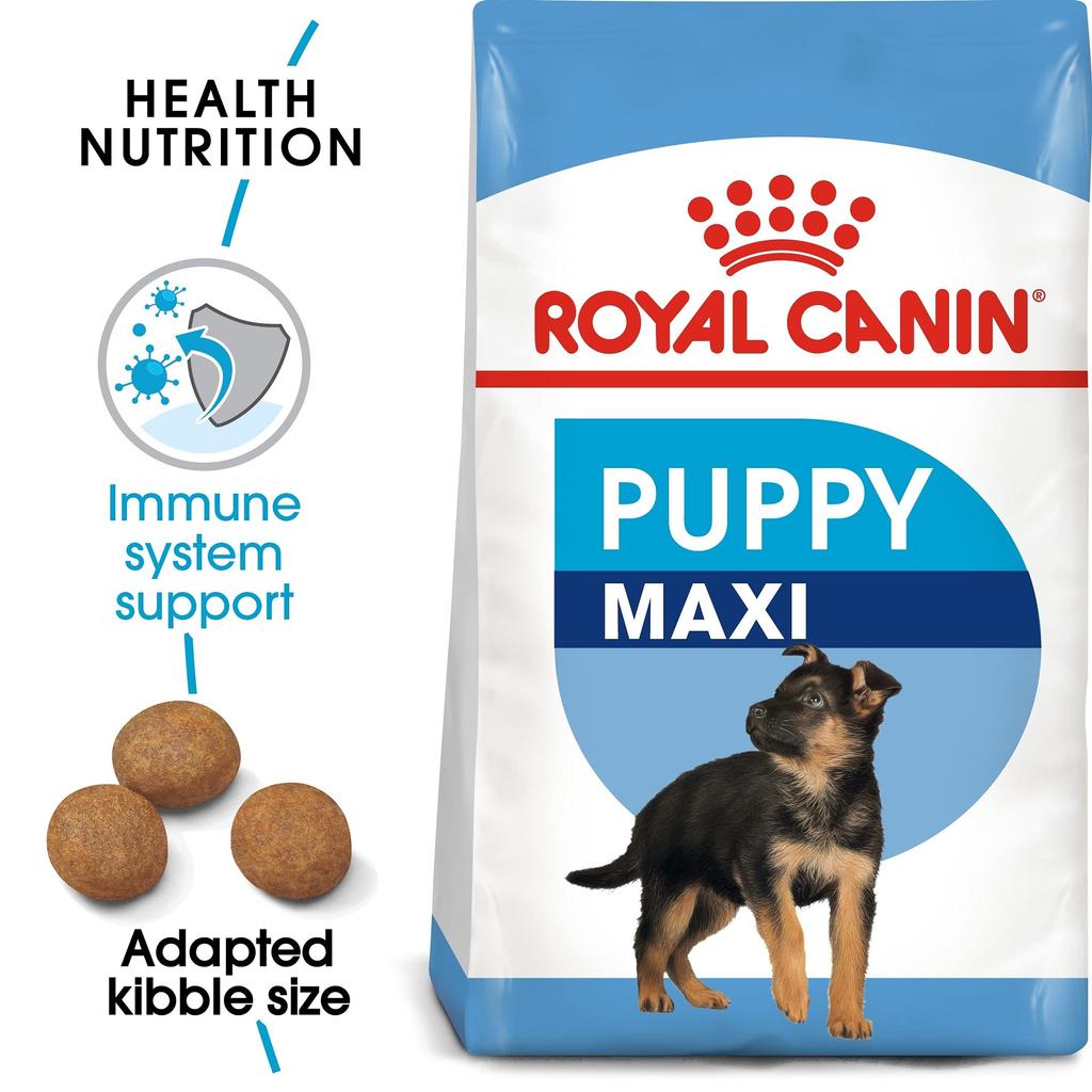 Royal Canin SHN Maxi Junior for Dogs 10kg