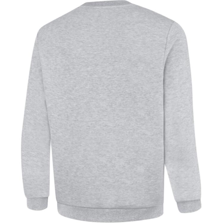Li-Ning Comfortable Casual Solid Color Hoodie Men hoodies Light-Gray AWDUB25-2