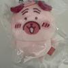 Cherry Blossom Pug Joke Bear Sealed