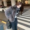 Imitation Fur Jacket Women's Light Fashion Autumn and Winter Short Imitation Fox Hair Winter 2 Years New Cotton Thickened