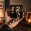 Reptile Themed 3D Metallic Snake Sculpture Gothic Accent Python Wall Ornament  Halloween
