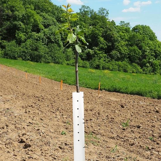 5 Stück Baumsetzling Wachstuben Belüftete Setzlingsschutzrohre 36 Zoll 48 Zoll Geteilte Baumwachstums-Schutzvorrichtungen mit Reißverschluss für Pflanzenschutz
