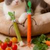Interactive Cat Teaser Toy Simulated Celery Shaped Cat Chew Toy Kitten Teething Toy with Bell Cat Stick Toys