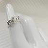 Ethnic Style Pixiu Coin Ring for Men and Women: Fashionable Silver Wealth and Luck Opener.