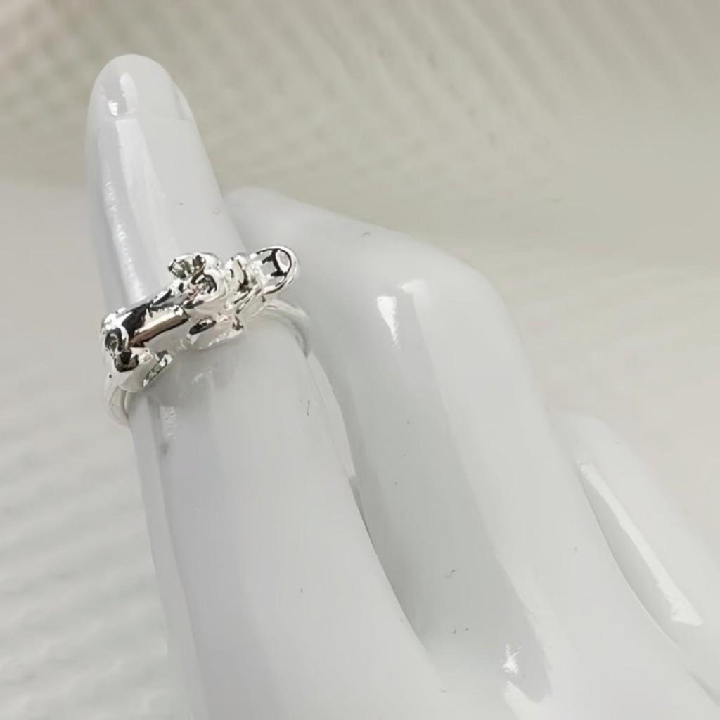 Ethnic Style Pixiu Coin Ring for Men and Women: Fashionable Silver Wealth and Luck Opener.