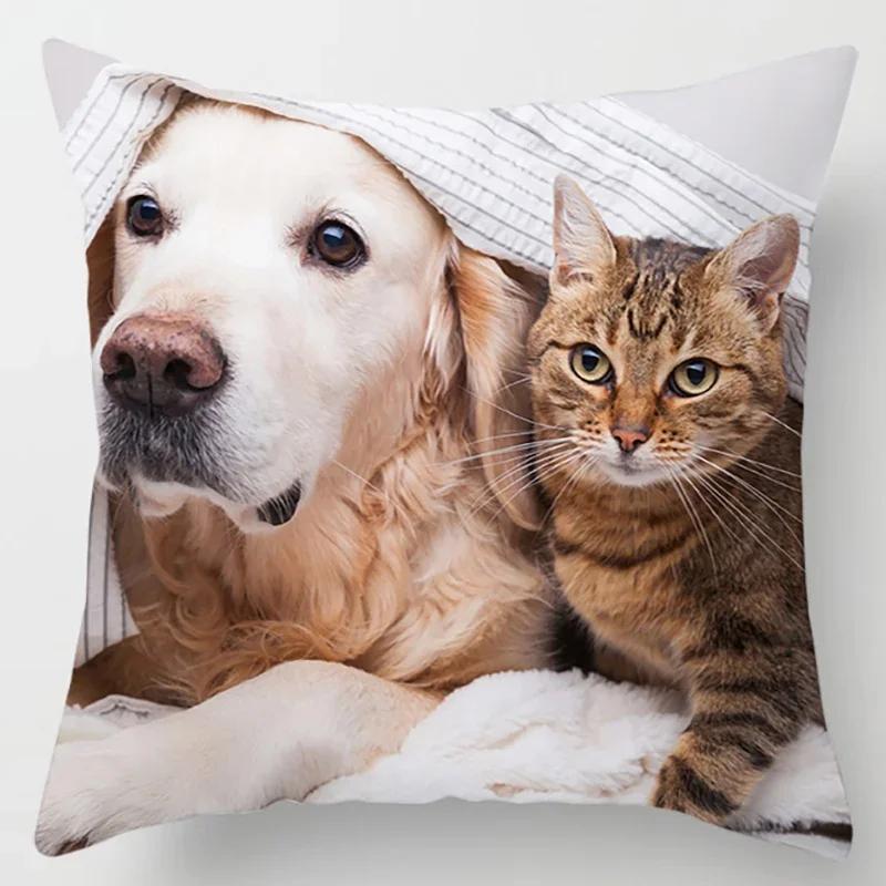 45X45CM Cat Collection Pillowcase Home and Office Decor Square Pillowcase
