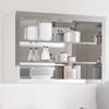 Vidaxl Wall-Mounted Kitchen Cabinet With Shelves, Stainless Steel