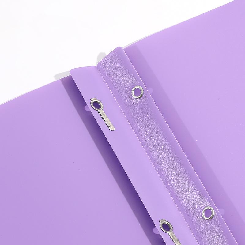 Tadpole Clip Double-Pocket PP Folder - Hot-Selling D-Type American Report File Bag