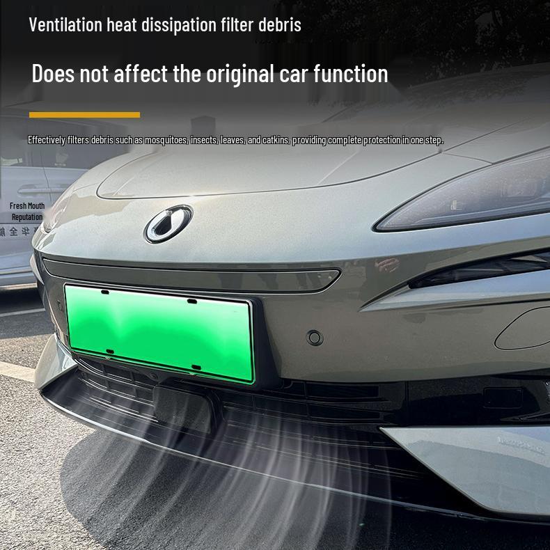 Tengshi Z9GT Front Grille Anti-Insect Net: Snap-On Radiator, Mosquito, and Fluff Protection; No Disassembly Needed