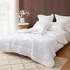Luolai Australian Wool Antibacterial Winter Duvet