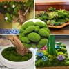10pcs Green Crafting Fake Stone Simulation Plant DIY Garden Decoration Creative Crafts Artificial Moss Rocks