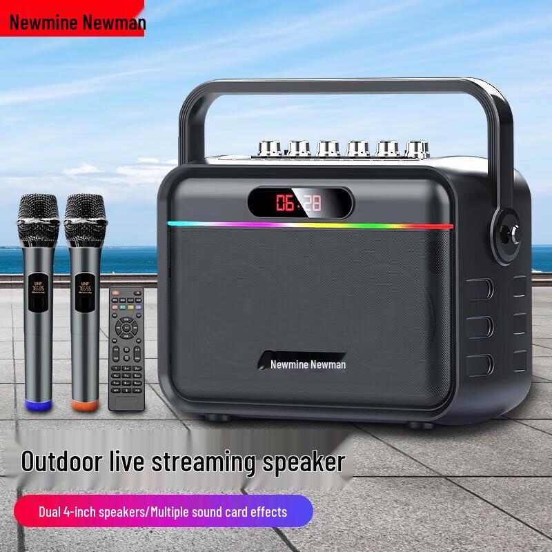 Newman K112 Portable Bluetooth KTV Speaker with Microphone