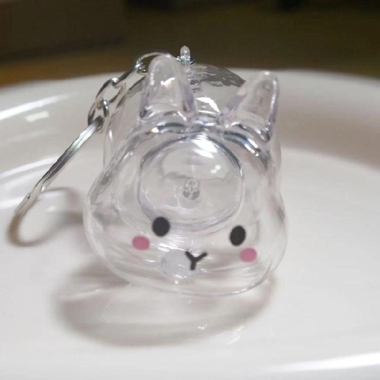 Functional Rabbit Shape Keepsakes Pendant Keychain Bunnies Hair Storage Box Clear Pet Furs Organizers Bag Charm Gift