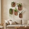 Minimalist Wall Hydroponic Vase Space Saving Oval Tube Wall Vase Hanging Plant Panel  Home Decor