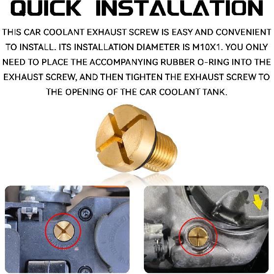 Radiator Coolant Expansion Tank Bleeder Screw with Rubber O-Ring, Coolant Air Bleeder Screw Replacement OEM 17111712788 Brass Radiator Drain Plug